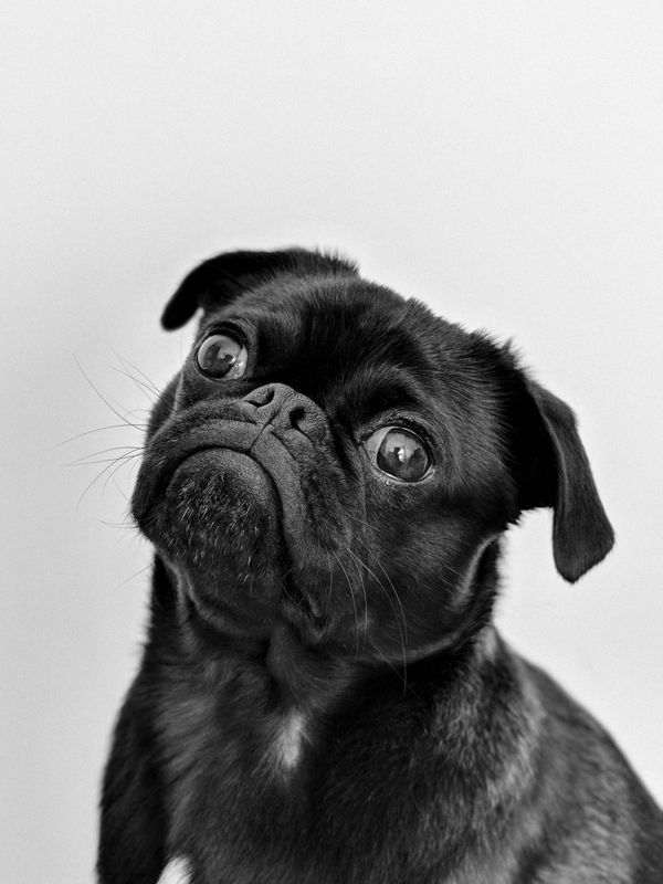 Charlie
